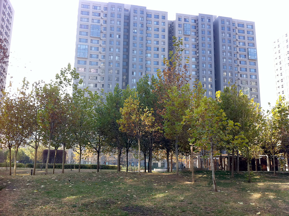 Shared Apartment Complex in Beijing